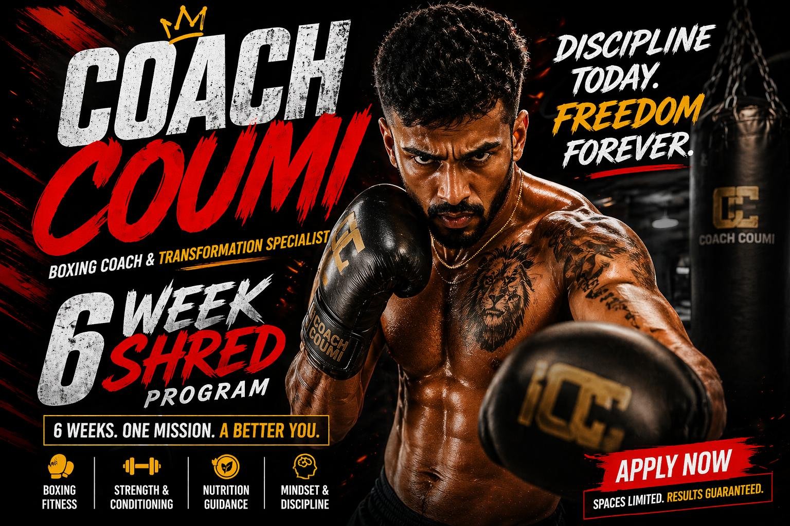 6 Week Shred Program